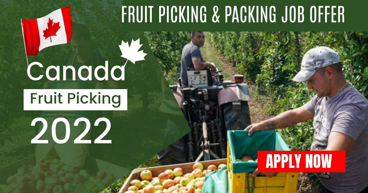 Fruit Picking and Packing Workers